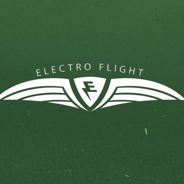 Electro Flight